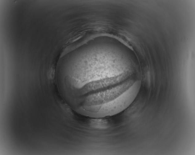 X0000089370281200706291252