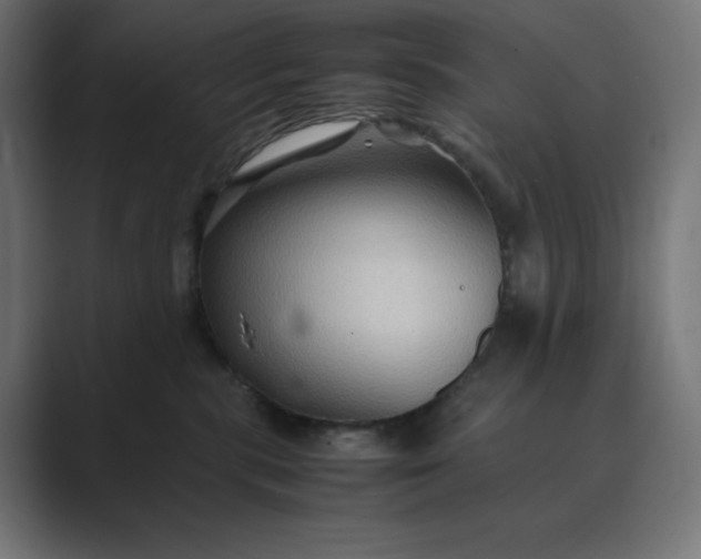 X0000089370283200706291252