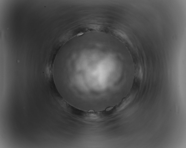 X0000089370285200706291253