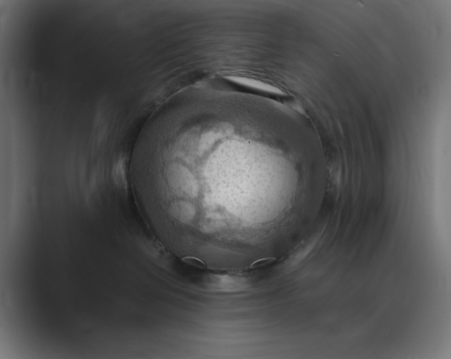 X0000089370286200706291253
