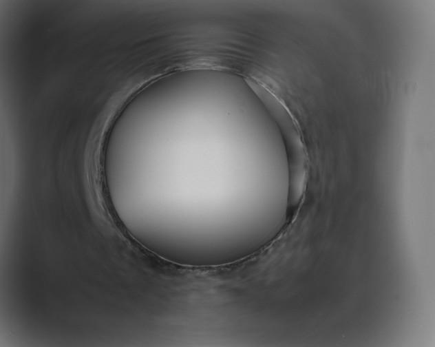 X0000089370289200706291252
