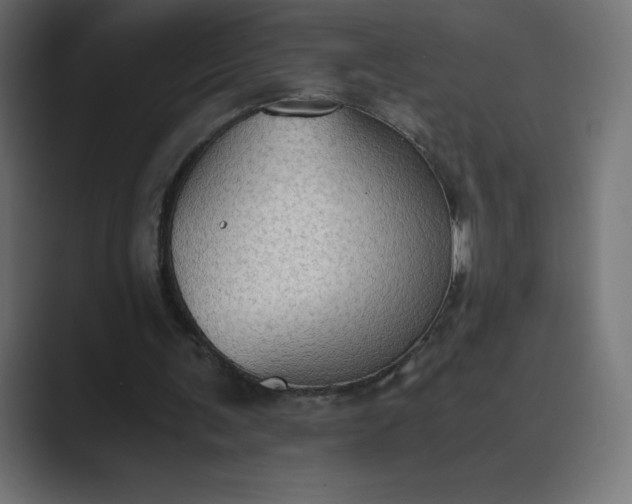 X0000089370291200706291252