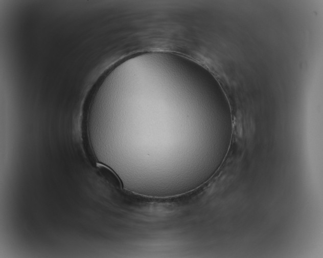X0000089370292200706291252
