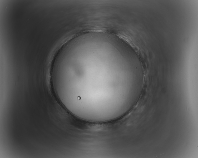 X0000089370293200706291252