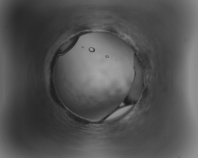 X0000089370295200706291252