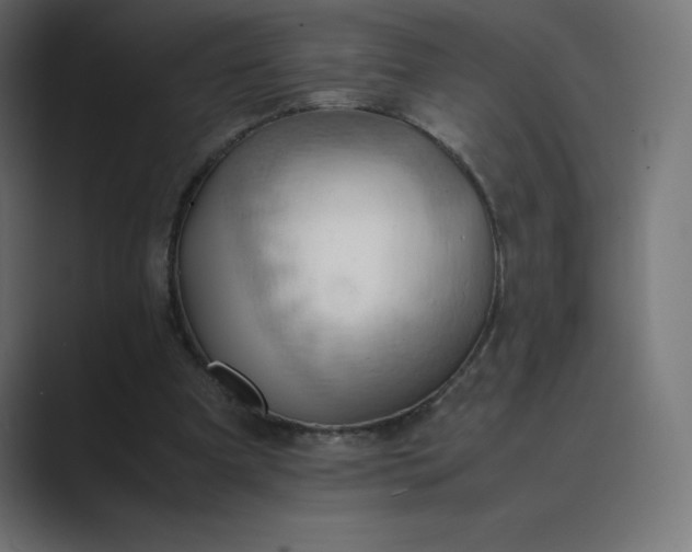 X0000089370297200706291252