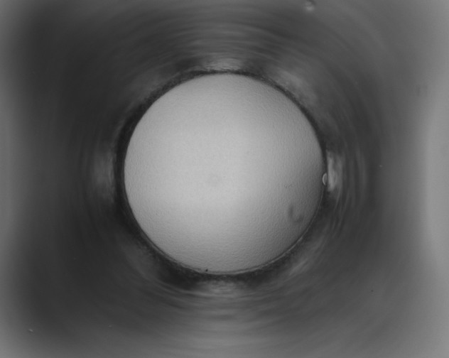 X0000089370300200706291252