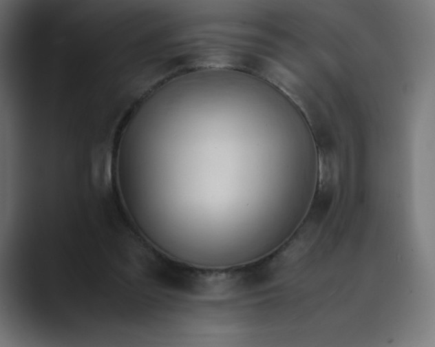 X0000089370301200706291252