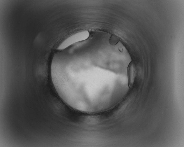 X0000089370303200706291252