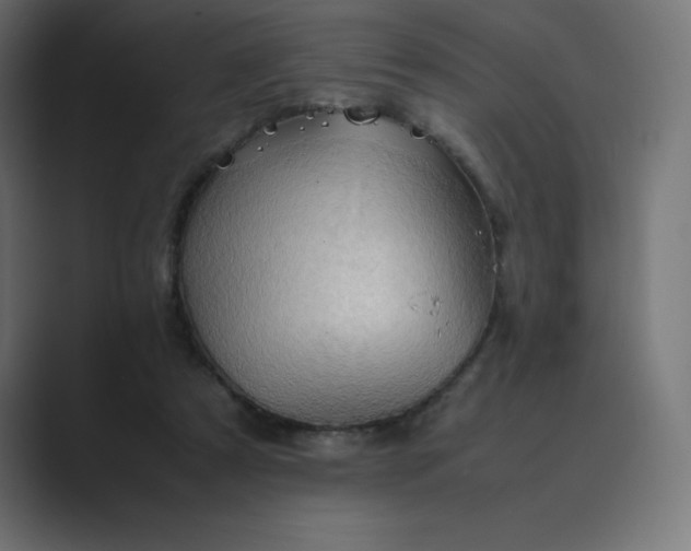 X0000089370305200706291252
