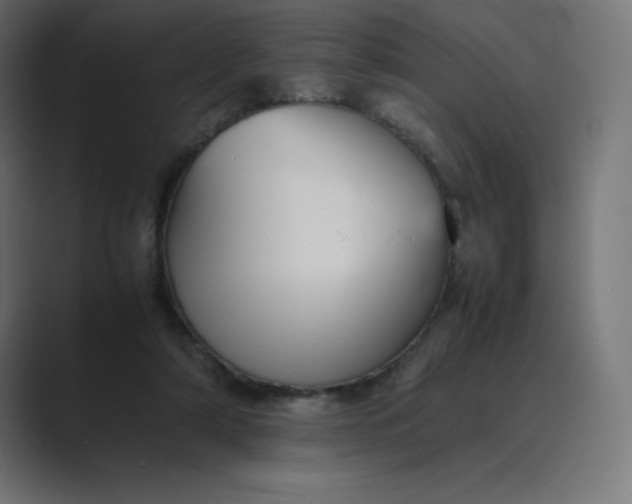 X0000089370306200706291252