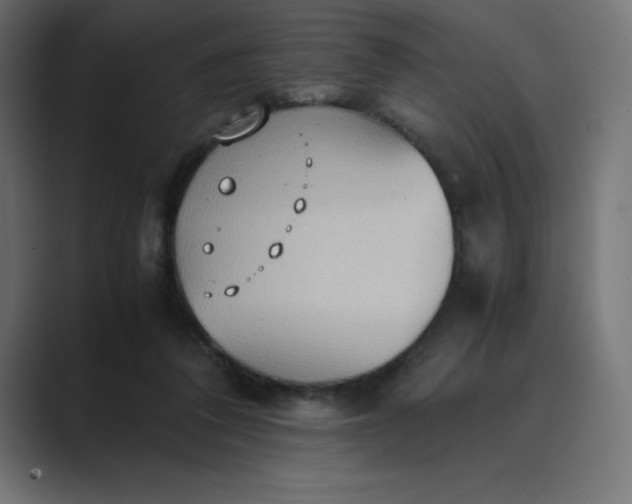 X0000089370308200706291252