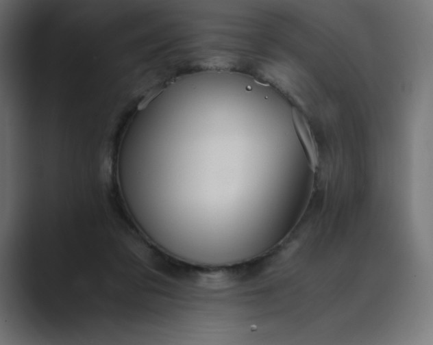 X0000089370309200706291252