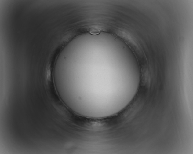 X0000089370310200706291252