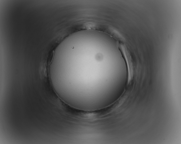 X0000089370313200706291252