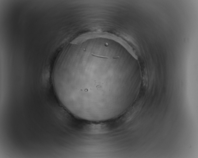 X0000089370314200706291252