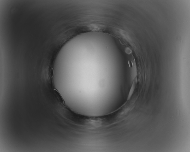 X0000089370317200706291252