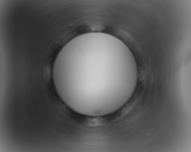 X0000089370321200706291252