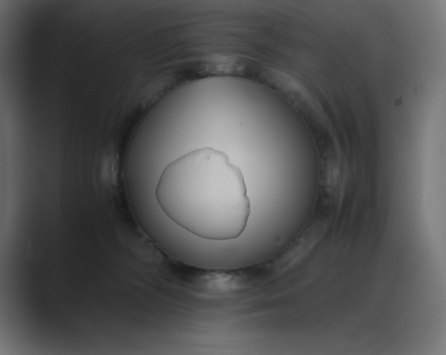 X0000089370326200706291252