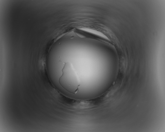 X0000089370329200706291252