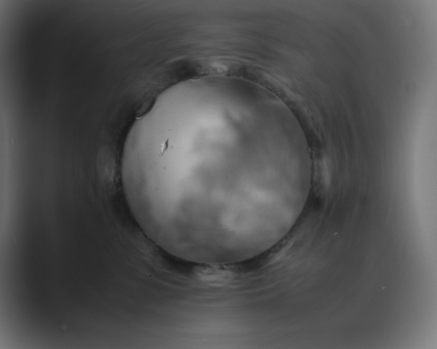 X0000089370331200706291252