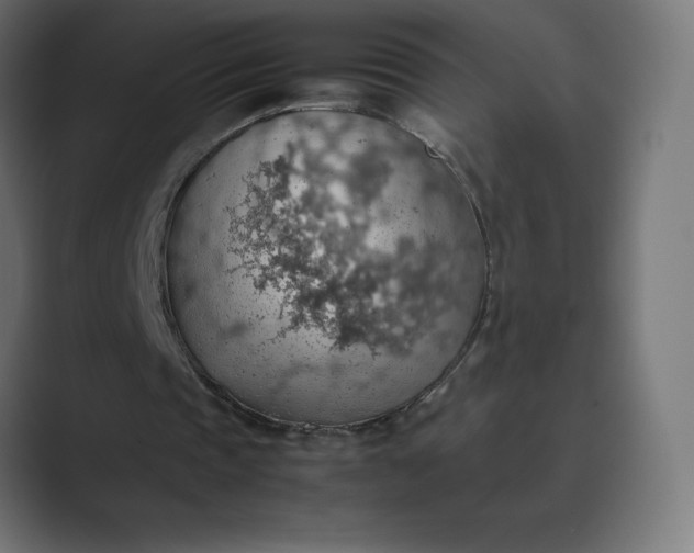 X0000089370337200706291251