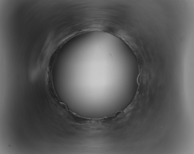 X0000089370338200706291251