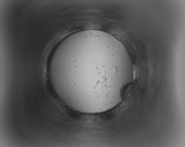 X0000089370339200706291251