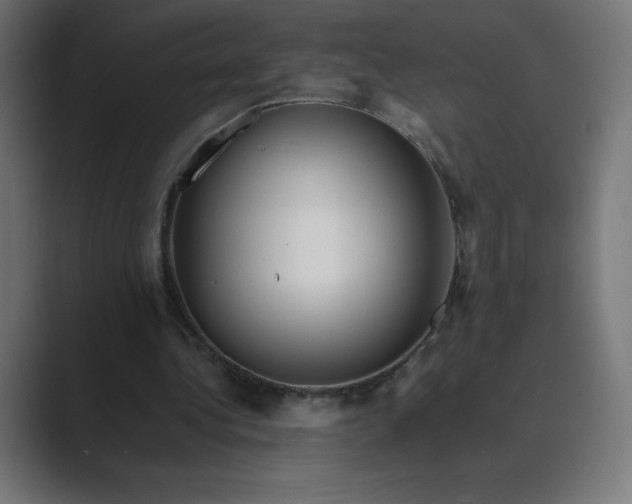 X0000089370340200706291251
