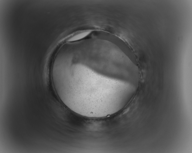 X0000089370343200706291251