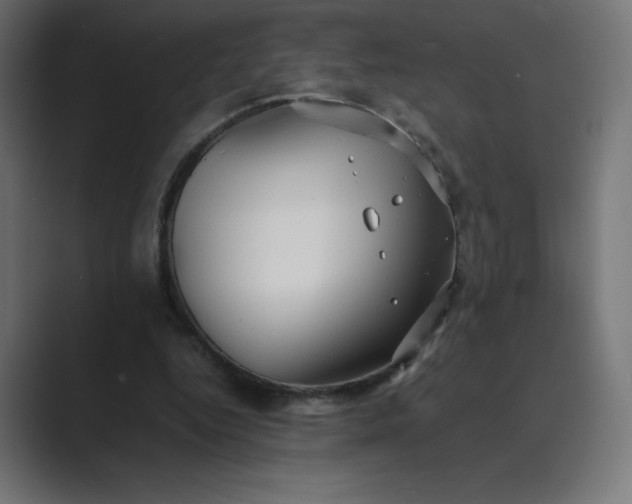 X0000089370344200706291251