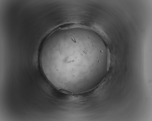 X0000089370346200706291251