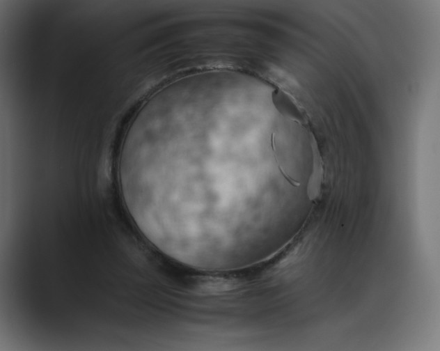 X0000089370347200706291251