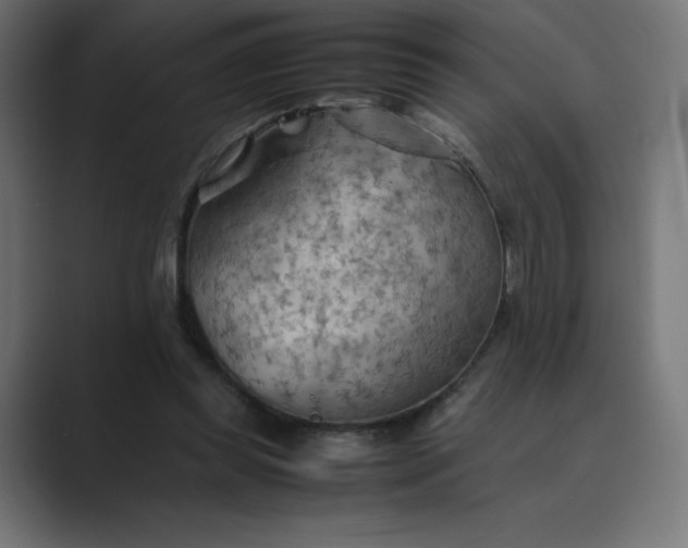 X0000089370349200706291251