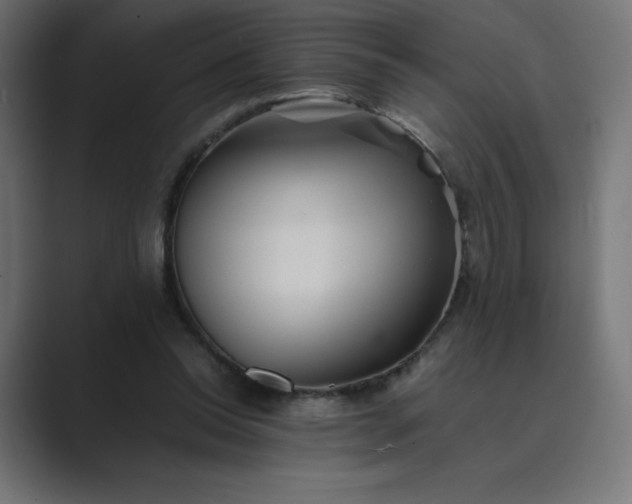X0000089370350200706291251
