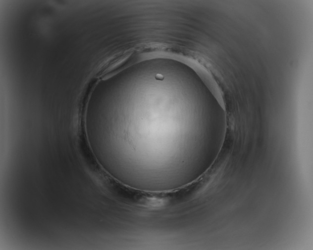 X0000089370352200706291251