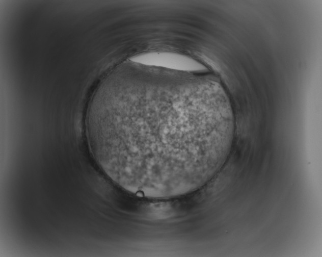 X0000089370353200706291251
