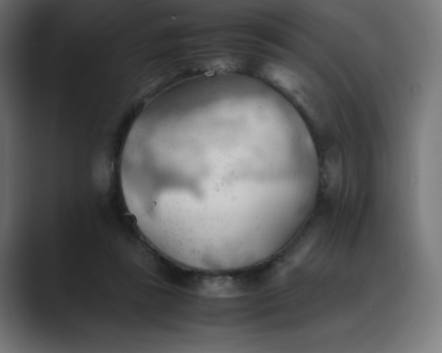 X0000089370355200706291251