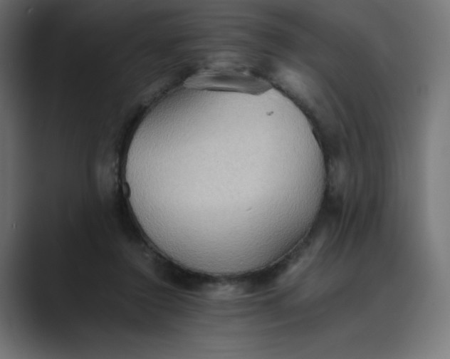 X0000089370356200706291251