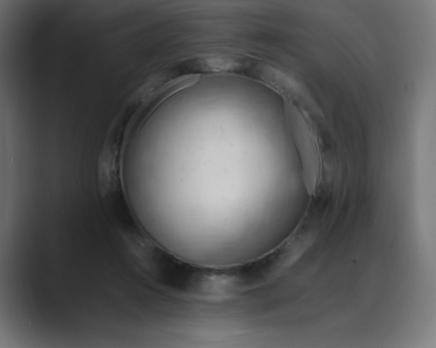 X0000089370360200706291251
