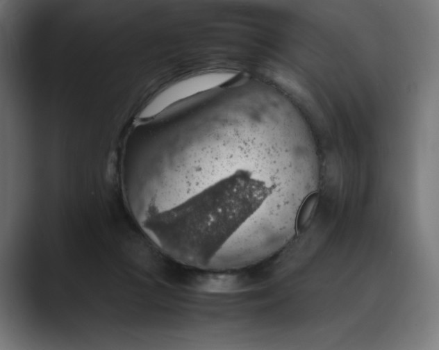 X0000089370361200706291251