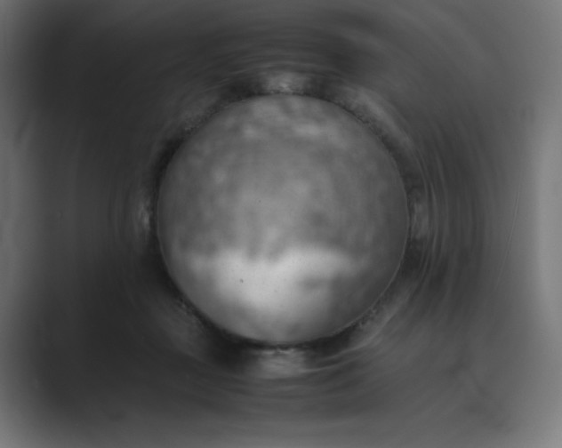 X0000089370363200706291251