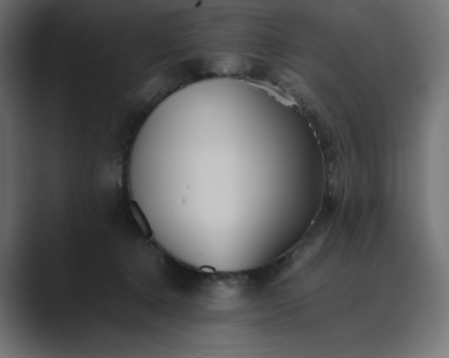 X0000089370368200706291251