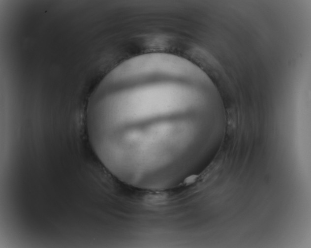 X0000089370369200706291251