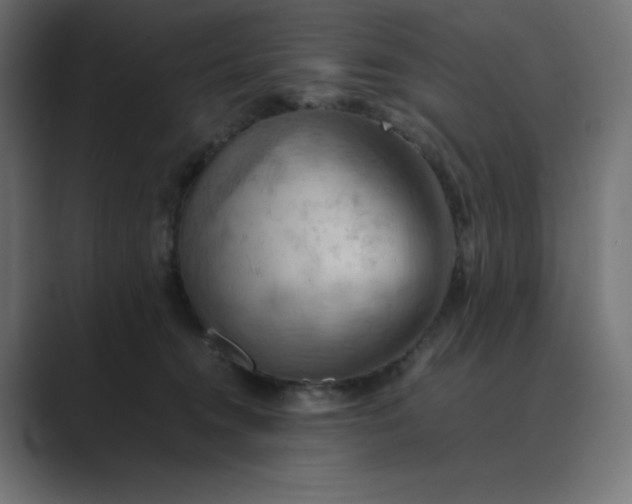 X0000089370372200706291251