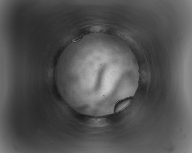 X0000089370375200706291251