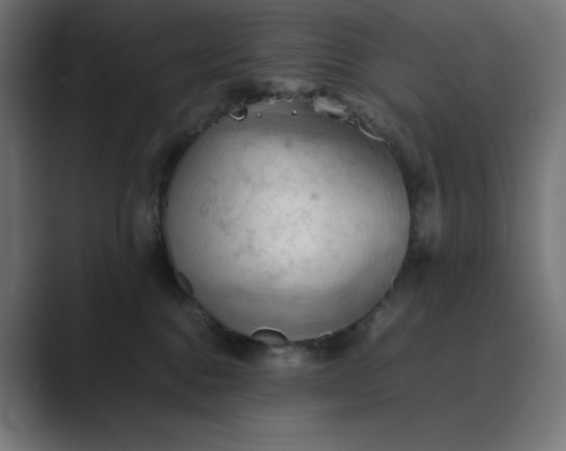 X0000089370376200706291251