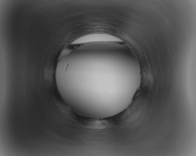 X0000089370379200706291251