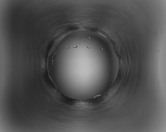 X0000089370380200706291251