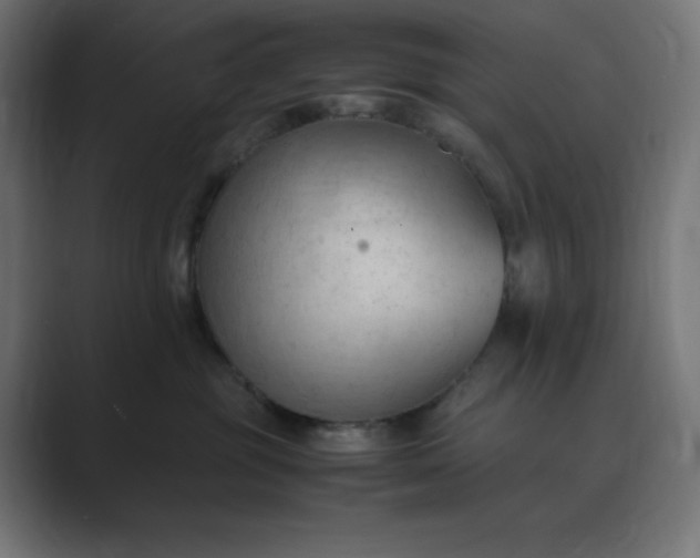 X0000089370381200706291251